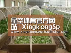 环境展示五