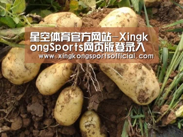 种植基地六
