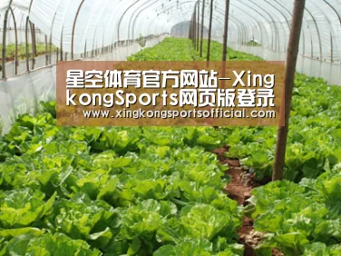 种植基地五