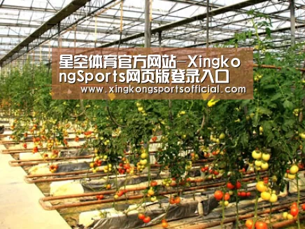 种植基地二