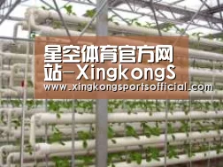 环境展示六