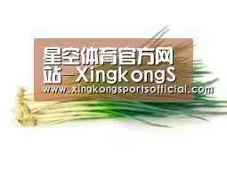 产品名称二